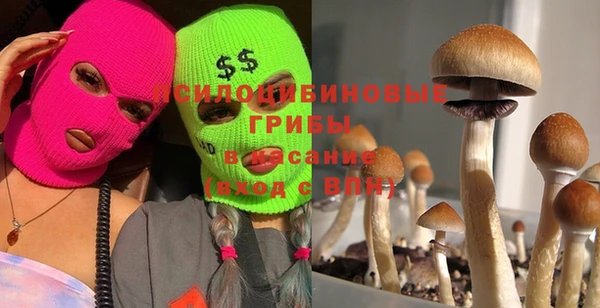 ГАЛЛЮЦИНОГЕННЫЕ ГРИБЫ Каменногорск