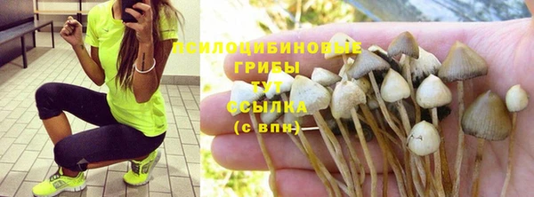 мяу мяу кристалл Каменка