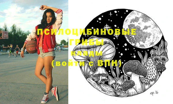 мяу мяу кристалл Каменка