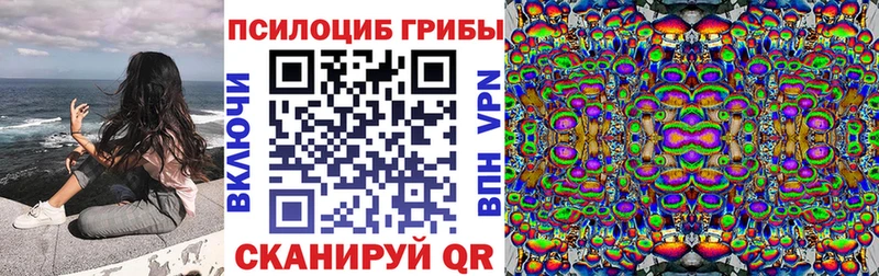 Купить где  Ипатово  Псилоцибиновые грибы GOLDEN TEACHER 